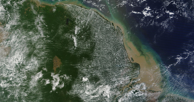 Photo Credit: The Guardian