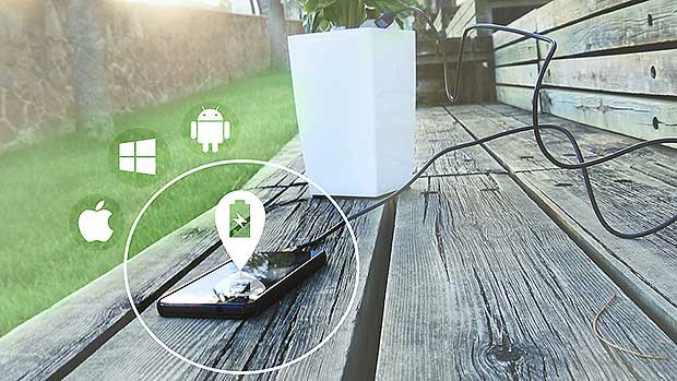 This Houseplant Can Charge Your Smartphone