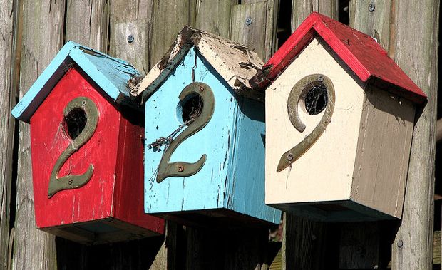 Cool Birdhouses to Spice Up Your Backyard