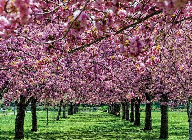 Source: annieisms.tumblr.com