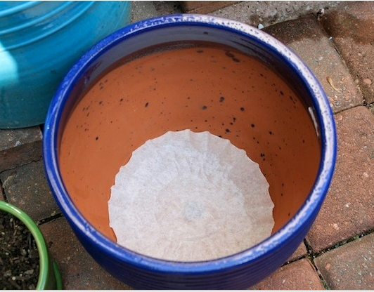 Source: Siteofeverything.com