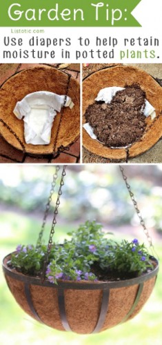 Source: Listotic.com