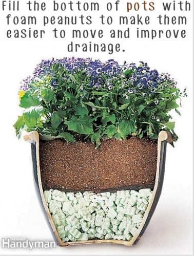 Source: Siteforeverything.com