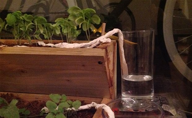 Clever Gardening Ideas You Can’t Live Without