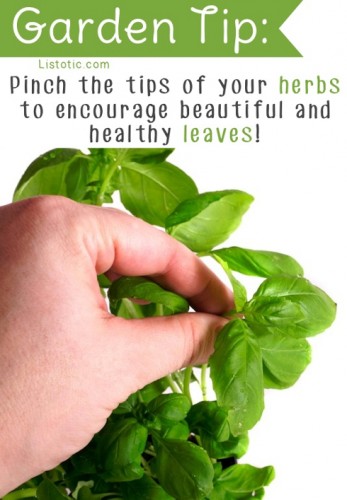 Source: Listotic.com