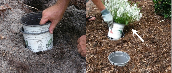 Source: Siteforeverything.com