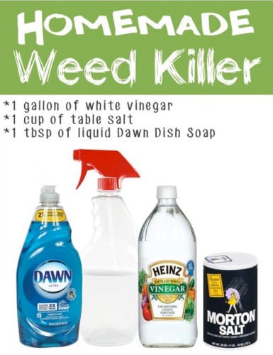 Source: Listofeverything.com