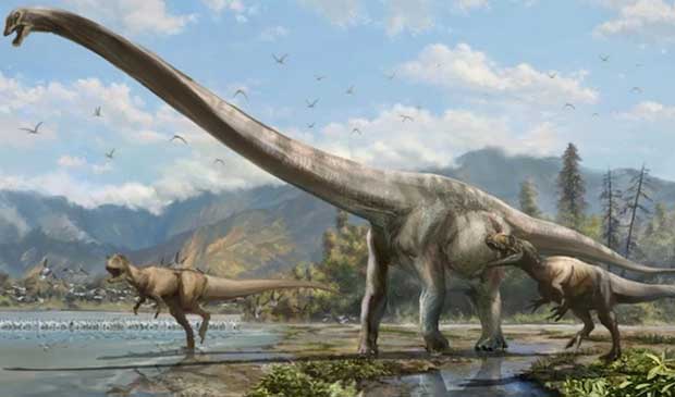 Source: News.Discovery.com