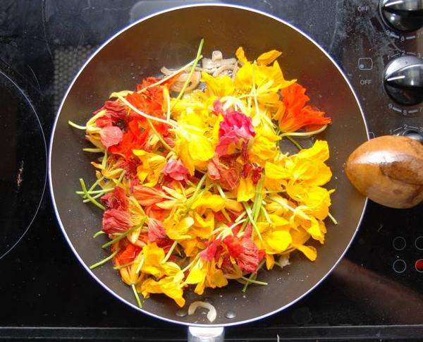 Source: Treehugger.com