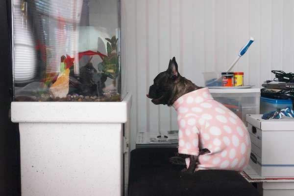 Source: Reddit/Emikeii