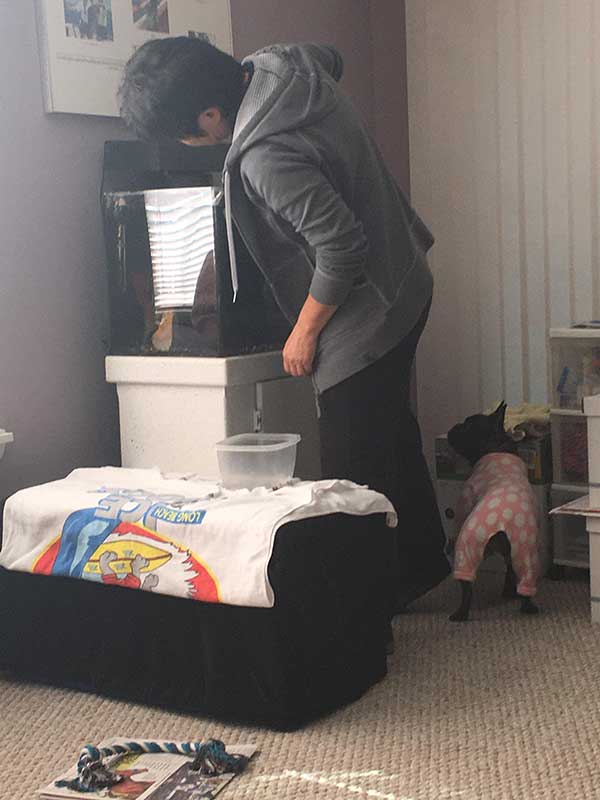 Source: Reddit/Emikeii