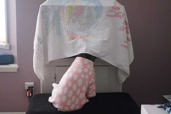 Source: Reddit/Emikeii