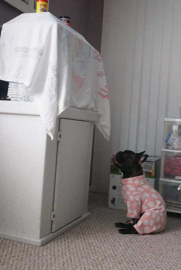 Source: Reddit/Emikeii