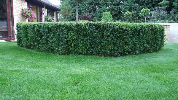 Source: Instahedge.com