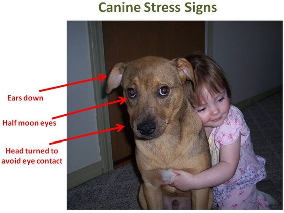 Source: Psychology Today