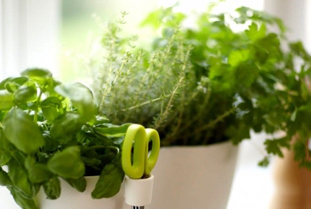 Source: slowlifepolska.pl