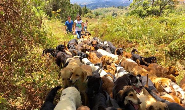 Source: Inhabitat.com