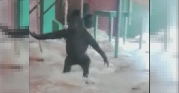 Source: Facebook/BBC East Midlands Today