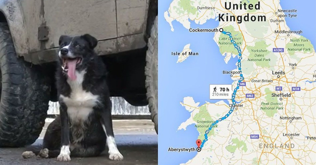 Source: Mashable/BBC