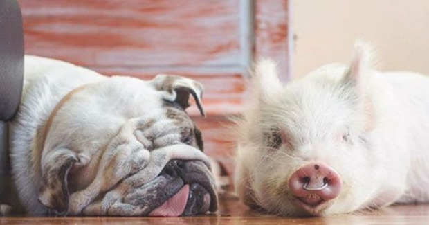 Photo Credit: Mashable