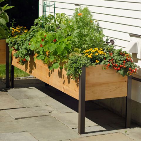 Raised Flower Beds That Are Better Than Traditional Gardens - Your ...