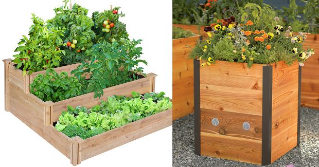 Raised Flower Beds That Are Better Than Traditional Gardens