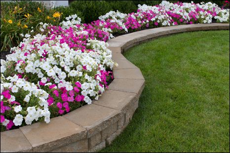 Source: Terraelegante.com