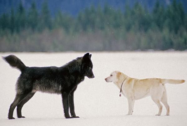 Source: National Geographic