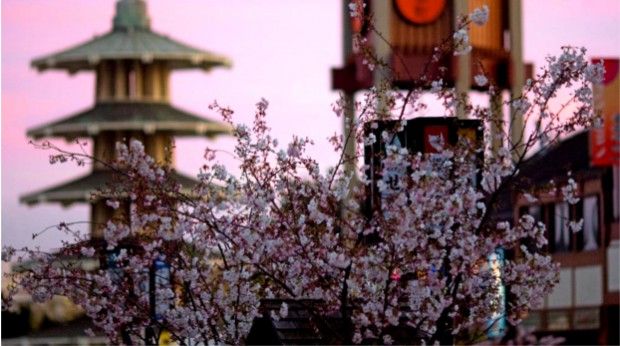 Source: greentortoise.com