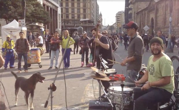 Happy Dancing Dog Cannot Contain Himself When Crossing Paths With Street Musicians