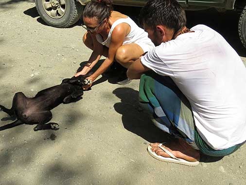 Source: Charlie's Angels - Animal Rescue - Costa Rica