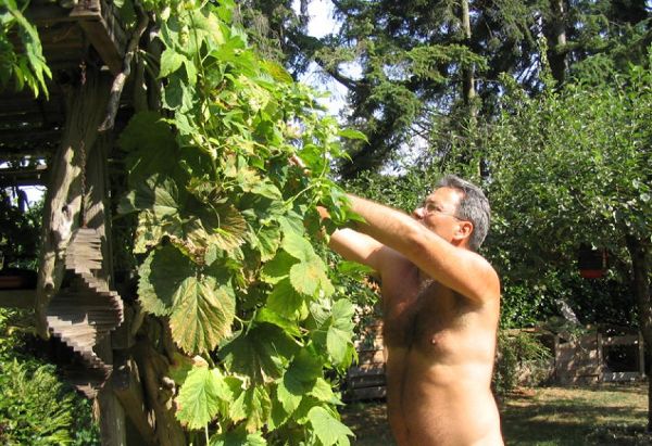 Source: Nydailynews.com