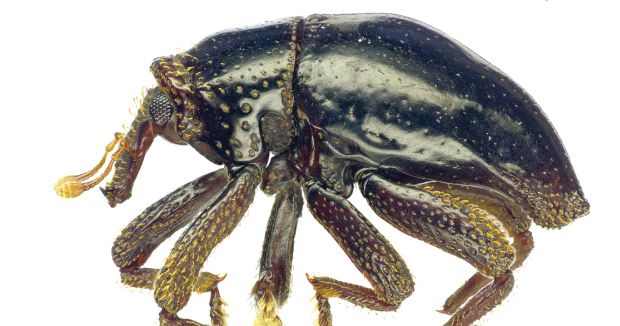 Photo Credit: Live Science