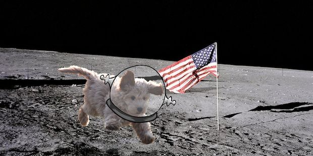 Source: REDDIT, FRENCHFRIES4AMERICA