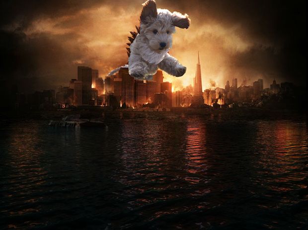 Source: REDDIT, SPACEBOVINE