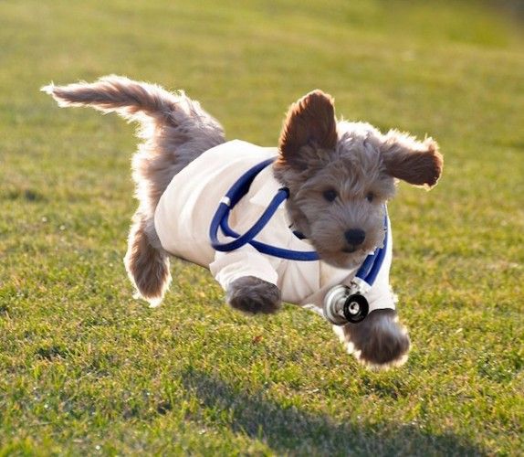 Source: REDDIT, GRODY_FACES_SAY_OUCH