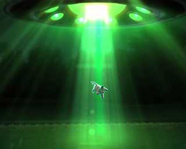 Source: REDDIT, IMSTUUUUUCK