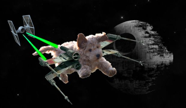 Source: : REDDIT, CONEHEAD88