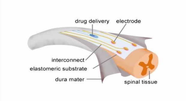 Courtesy inhabitat.com
