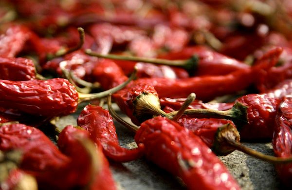 The World’s Hottest Pepper Could Be the Cure to Cancer
