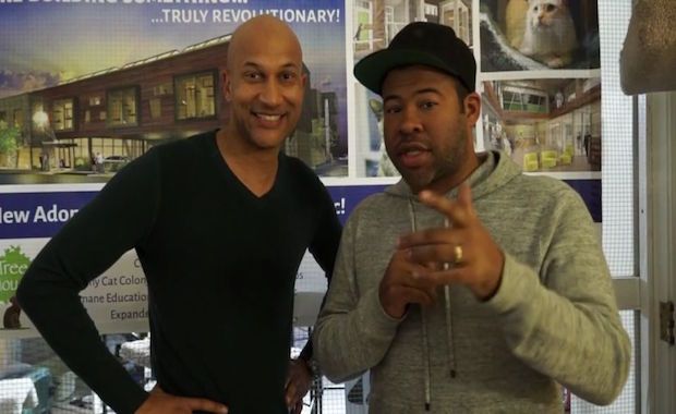 Watch Key and Peele Stop by a Cat Adoption Shelter and Give Some Cats Some Crazy Names