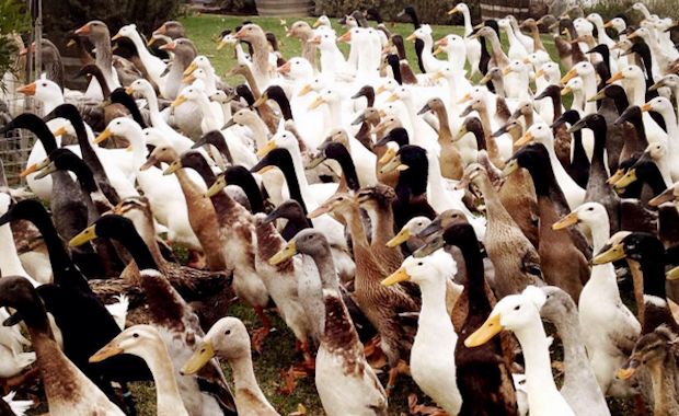 Source: Instagram vergenoegd_wine_estate