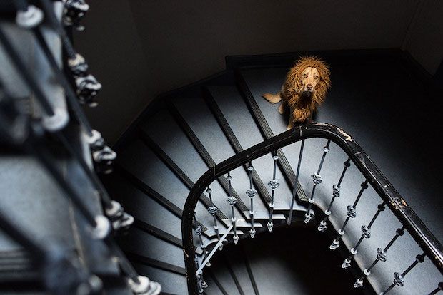 Source: Julie Marie Warner