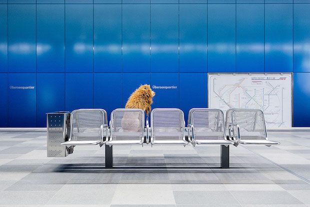 Source: Julie Marie Warner