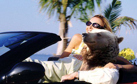 Source: Reddit/WetCoastLife