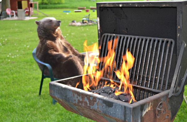 Source: Reddit/Shappie