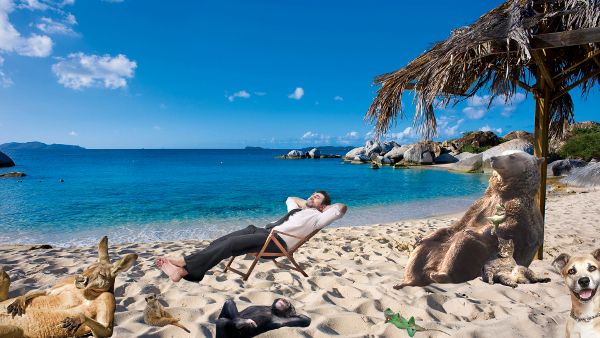 Source: Reddit/-Dali-Llama-