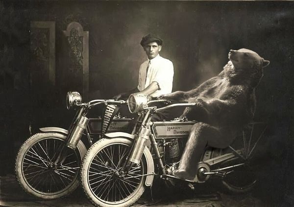 Source: Reddit/Rexleou