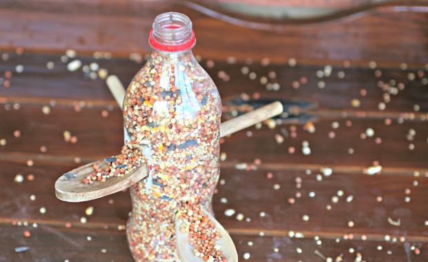 Bring the Birds to Your Backyard With These DIY Bird Feeders