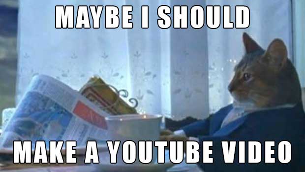 Watching Cat Videos May Be Good for Your Health After All